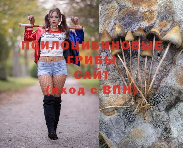 марки nbome Козловка