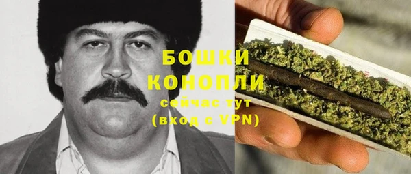 гашик Щучье