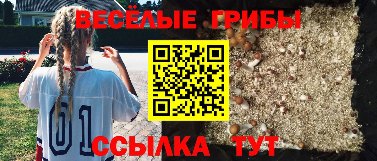Галлюциногенные грибы мицелий Кемерово