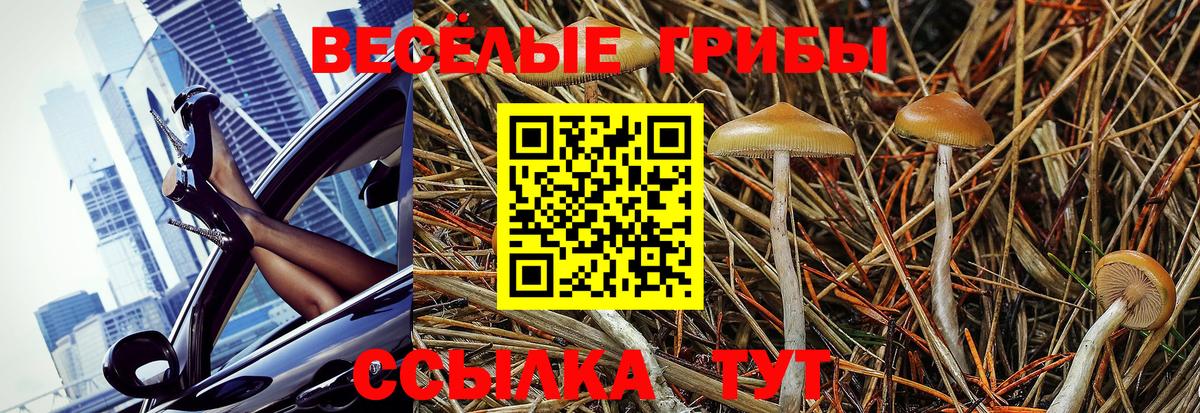 Кемерово  Галлюциногенные грибы Magic Shrooms  Вход с VPN 