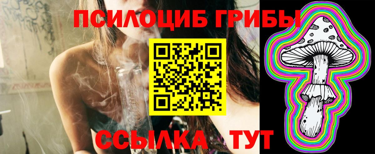 Галлюциногенные грибы мицелий  Псилоцибиновые грибы Magic Shrooms  цены   Кемерово 