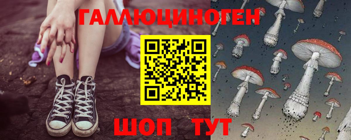 Галлюциногенные грибы Psilocybine cubensis Кемерово